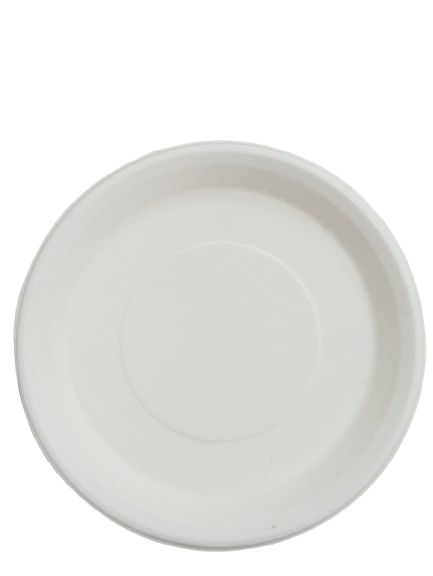 Baggase 12 Inch Round Plates - Pack of 100