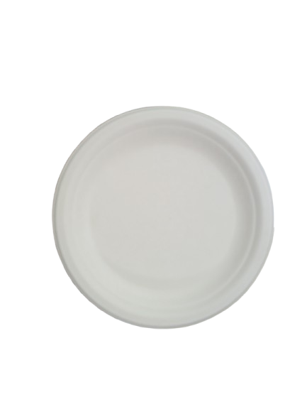 Bagasse 7 Inch Round Plate - Pack of 100 Pcs