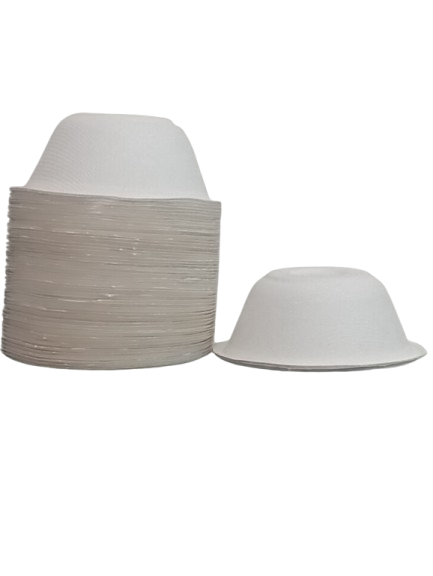 Bagasse  Bowl - 180 ml - Pack of 200 Pcs